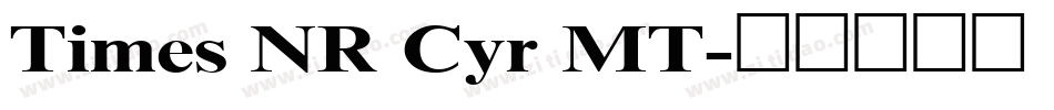 Times NR Cyr MT字体转换